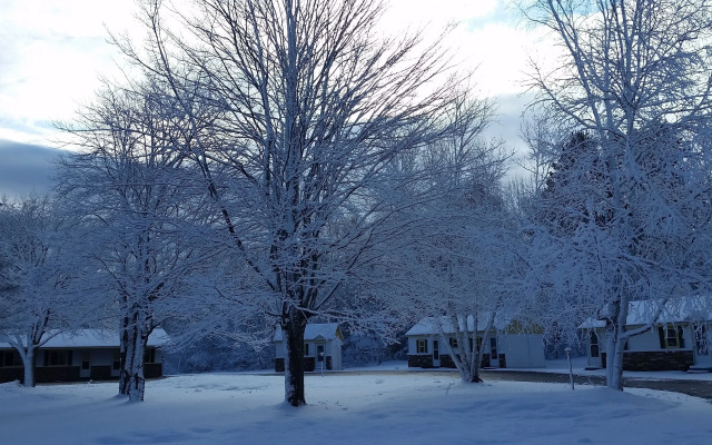 Sunshine Motel & Cabins