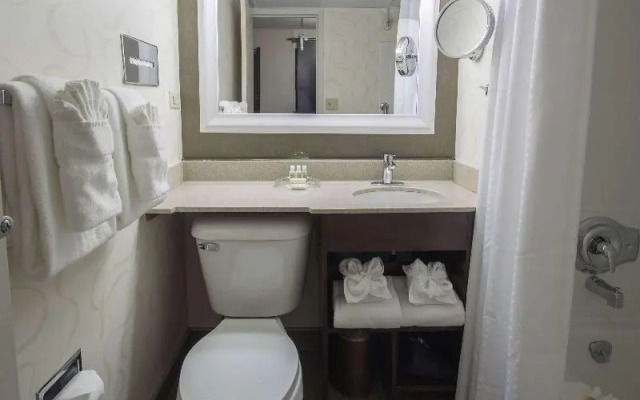 Wyndham Rochester Downtown