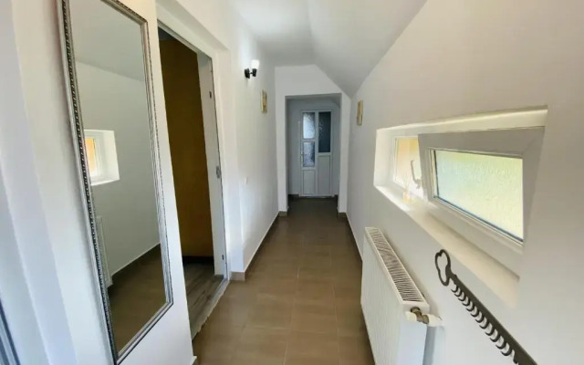 Central Apartment with Garden in Blaj