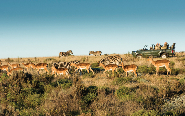 Gondwana Game Reserve