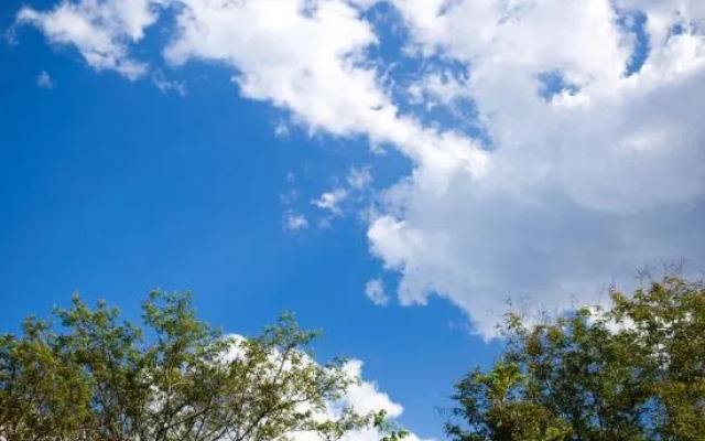 Xishuangbanna Flower Inn