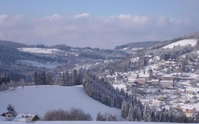 Chalet Le Tholy, 4 pièces, 6 personnes - FR-1-589-217