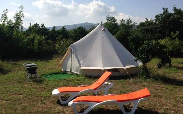 Orange Tree Garden Glamping Haven