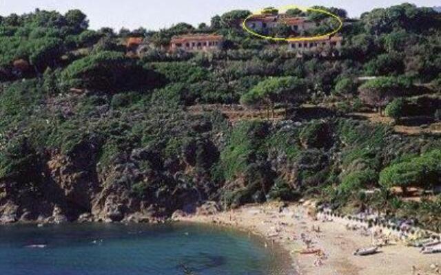 Capoliveri Punta Morcone bilo