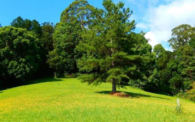 Riverbend Byron Hinterland Retreat