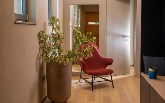 Casa Arbor Blanco in Fažana