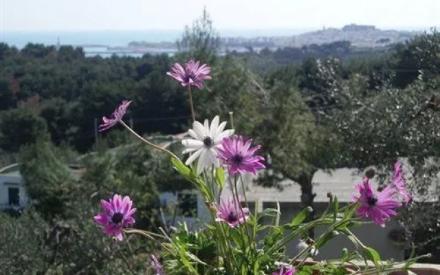 Villa Carabella Residence