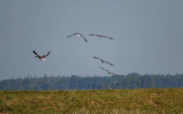 Rï¿½gen-Ferienhof