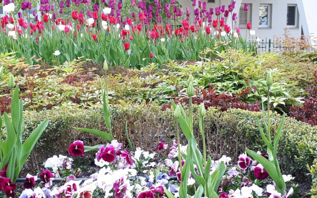 Kierunek Sopot Apartament WERANDA Haffnera 32