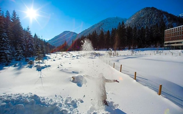 Alpenhotel Ammerwald