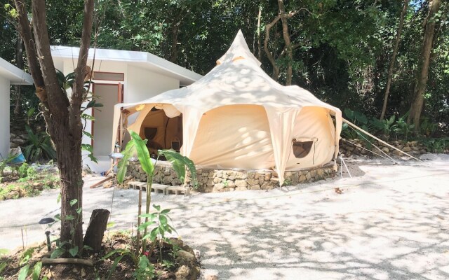 Driftwood Glamping and Boutique Hotel