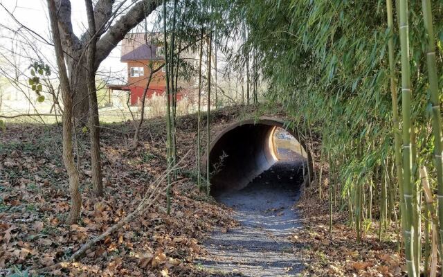 The Shuck- Christophers Riverside Cabin