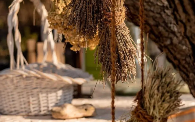 Plage Cachée - Glamping