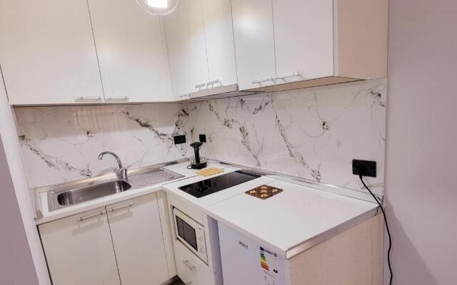 Green Studio Apartment