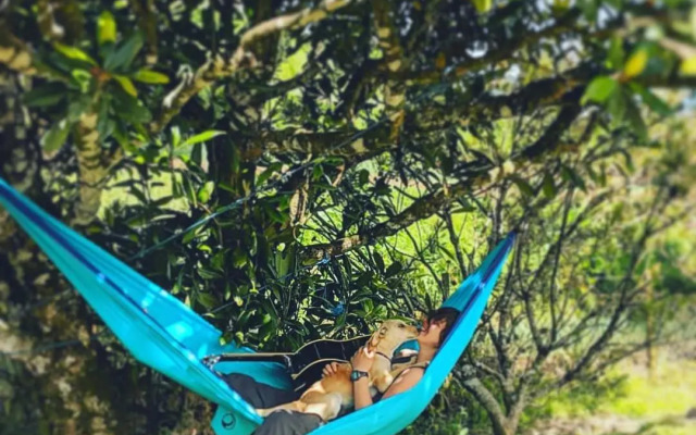 Laughing Leopard Hostel