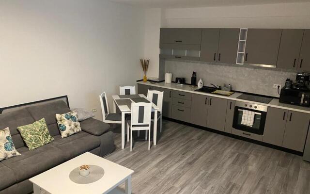 Apartament Ionut