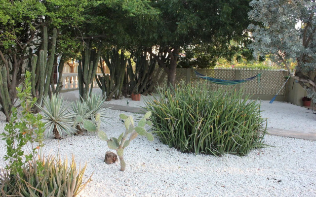 Nature Aruba Deluxe Apartments