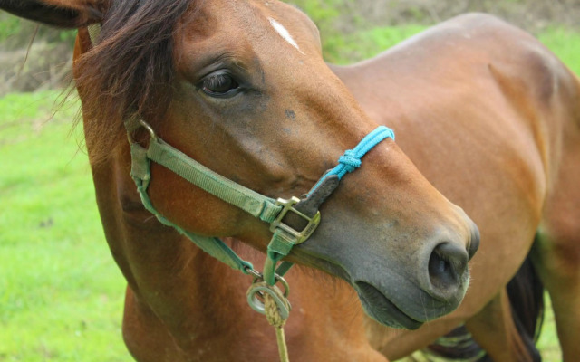 San Marcos 124 Gran Pacifica Resort
