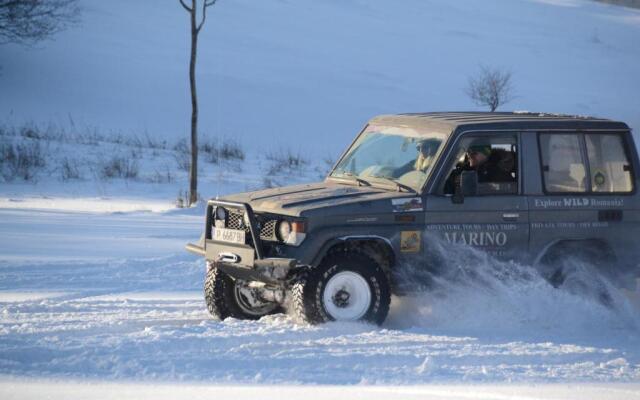 Gospodaria Lui Nea Ion