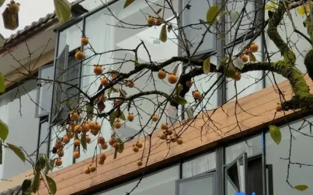 Yehouxi Homestay
