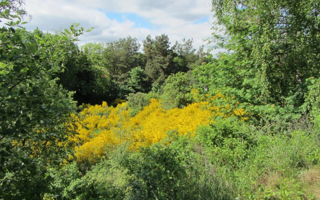 Holiday Home Holmehøj