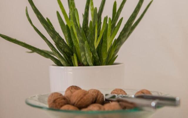 Apartment Padrenostro Zadar