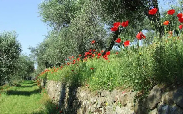 Agriturismo BellaVita