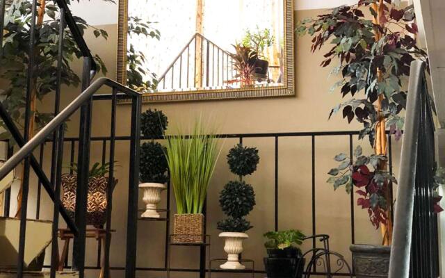 M Star Hotel Mansfield