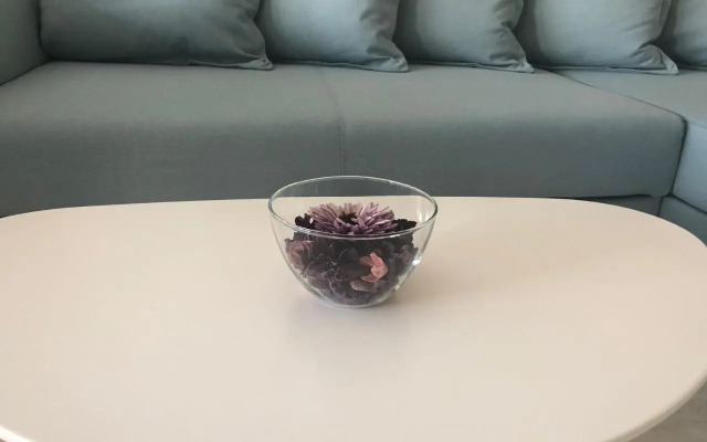 Apartment "South View"