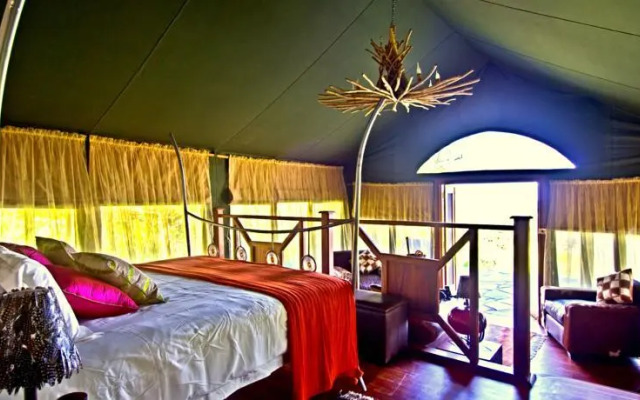 Buffalo Luxury Camp