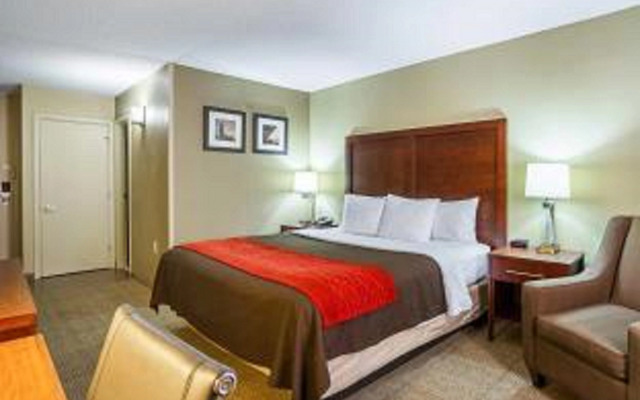 Comfort Inn Downtown