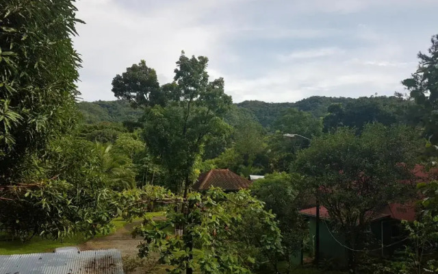 Los Pinos De Torio