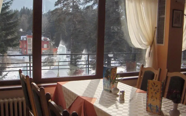 Hotel Bor