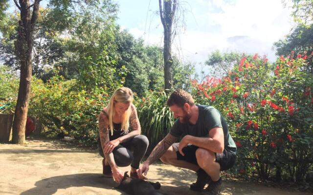 Sapa Jungle Pub  Homestay