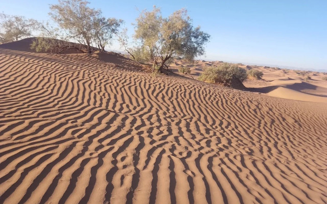 Atmospher Bivouac Desert
