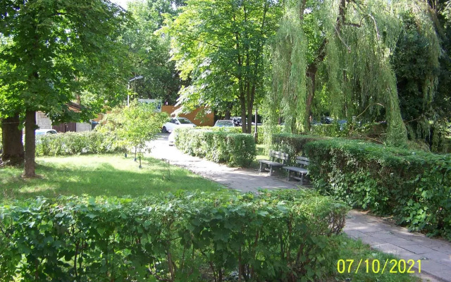 Zielony Apartament, Kielce, Targi, Centrum