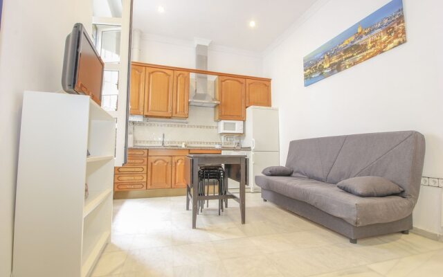 Deluxe Apartment Arco del Postigo