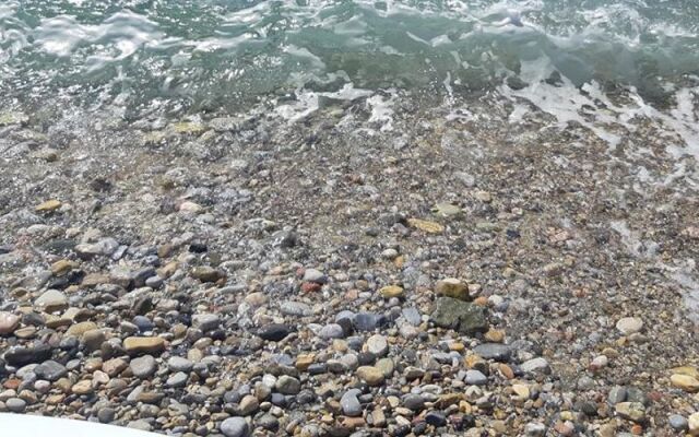 Palamutbuku Cesme Otel