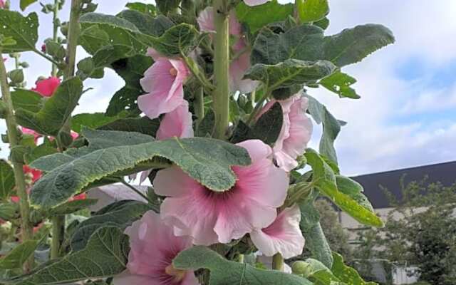 6bis Rue de la Boussaquiere St Broladre (Adults Only)