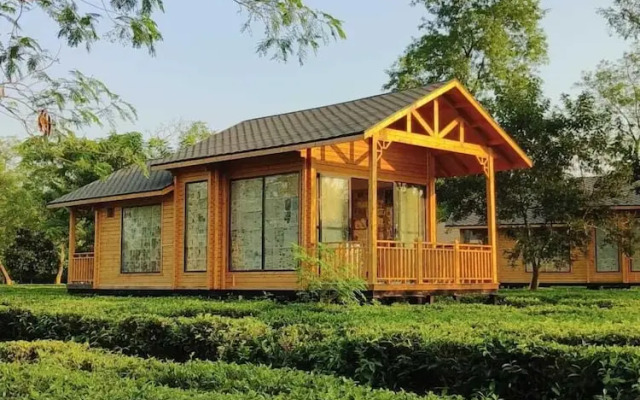 The Postcard in the Durrung Tea Estate