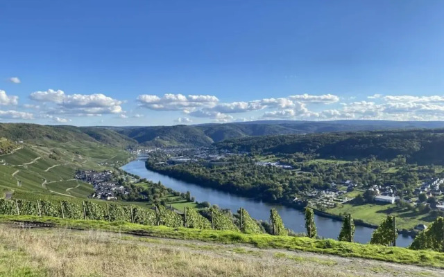 Uitzicht op de Wijngaard