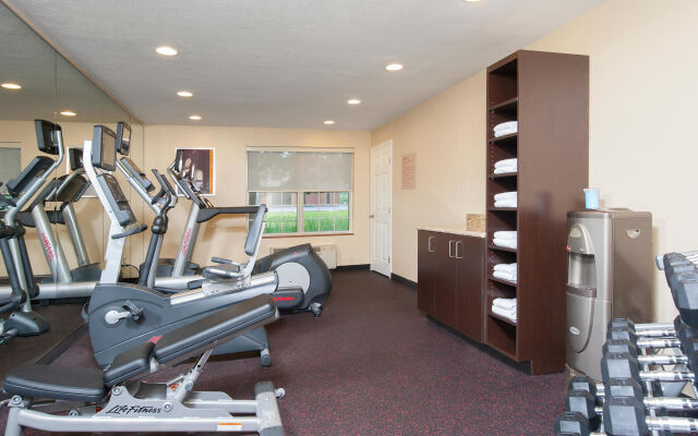 TownePlace Suites by Marriott Indianapolis Park 100