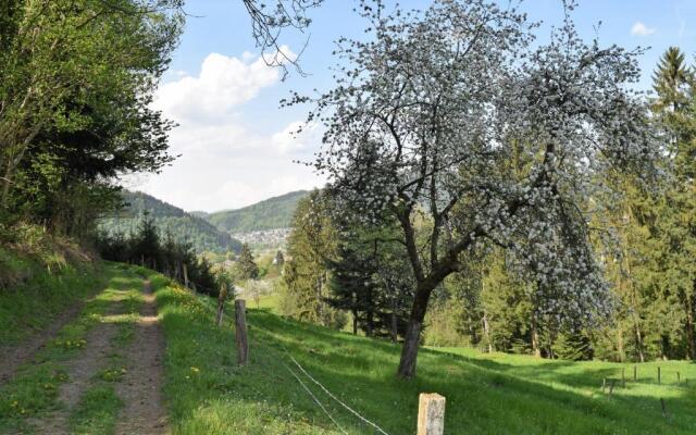 Ferienwohnung im Dettenbachtal