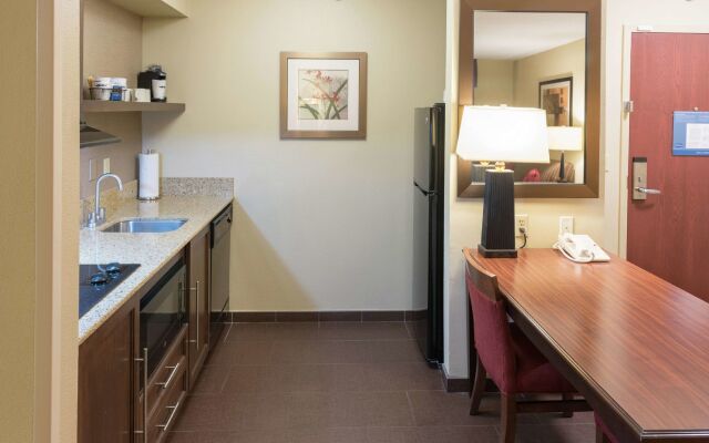 Hampton Inn & Suites Tampa-North