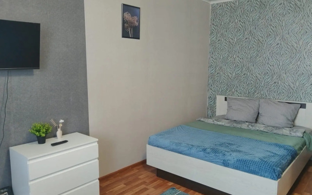 Apartments on Gubkin Street