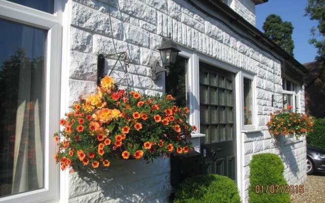 The White House B&B