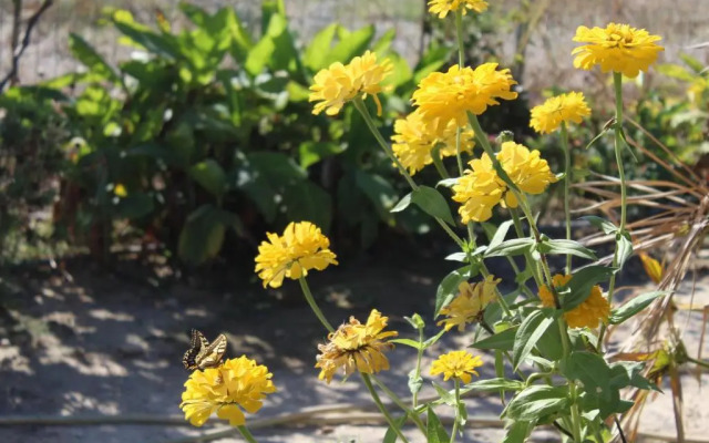 Spiti tou Papa sto Vouno