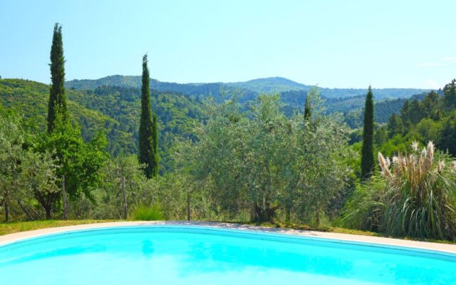 House Tegliaia Montevarchi 19354