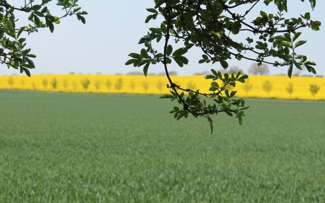 Wohnung in Dargun mit Pool und Streichelzoo