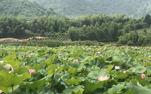 Hangzhou Tongjia country Resort